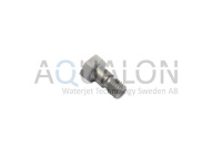 Inlet Poppet Screw, SL-V, 20474395